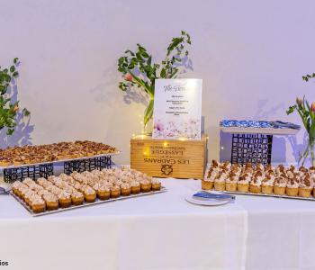 Apple pie tarts, mini banana pudding cupcakes, UB cut out cookies, and pumpkin cheesecake bites presented at a dessert table. Photo by Bellini Studios.